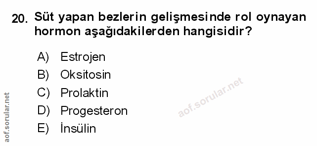Soru 20