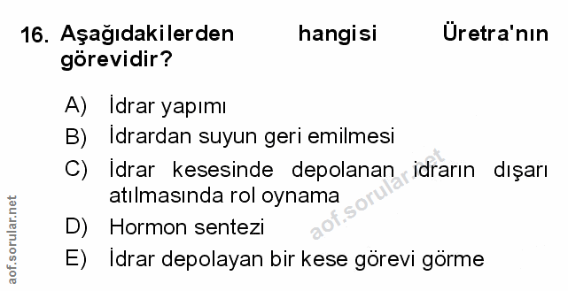 Soru 16