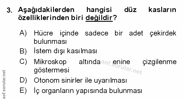 Soru 3