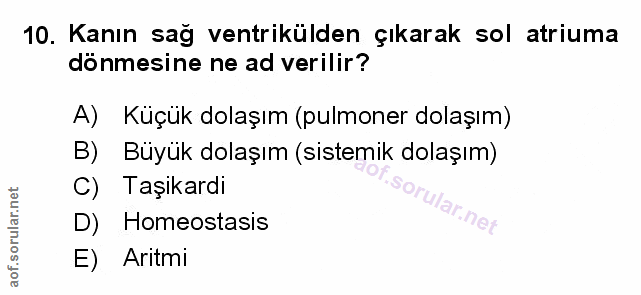 Soru 10