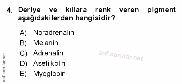 Soru 4