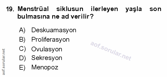 Soru 19