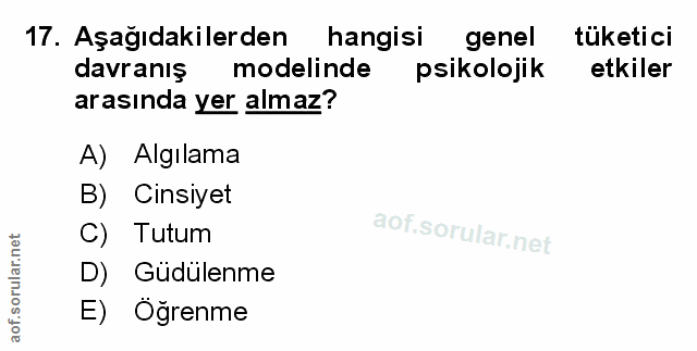 Soru 17