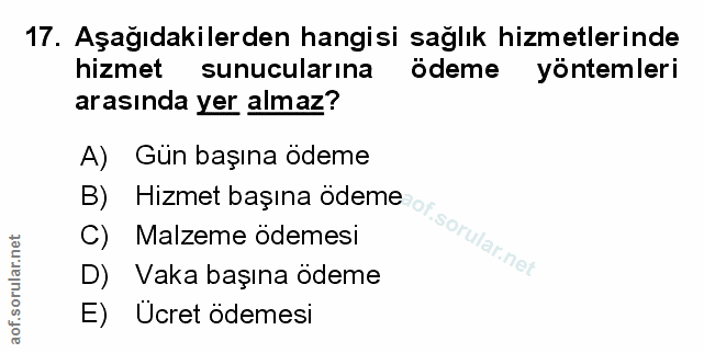 Soru 17