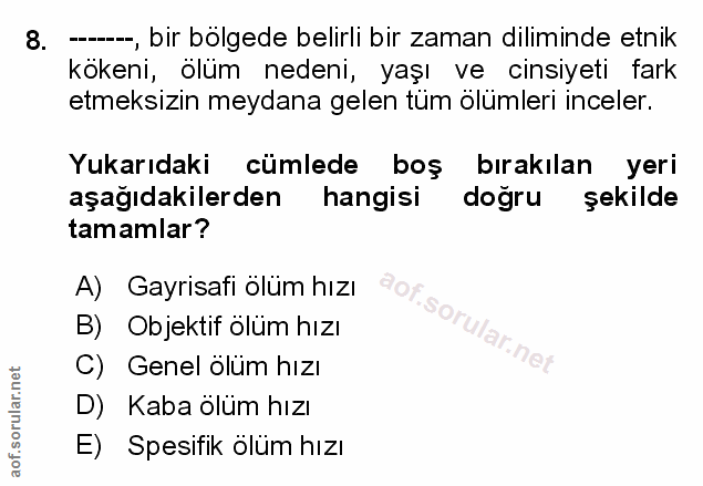 Soru 8