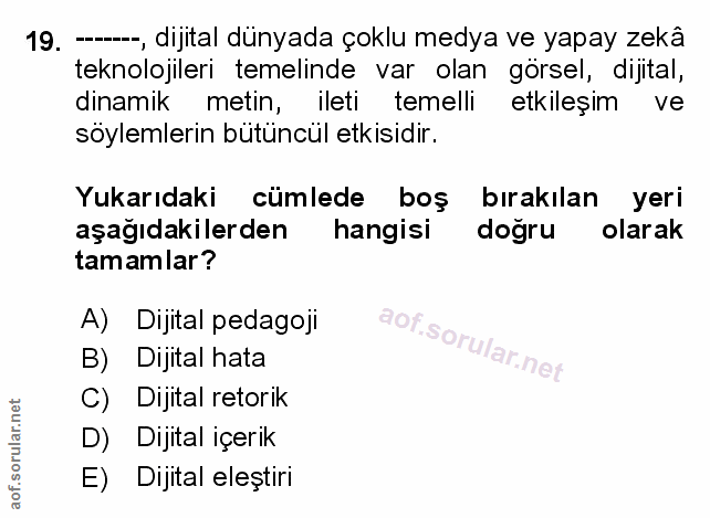 Soru 19