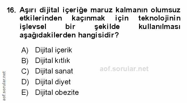 Soru 16