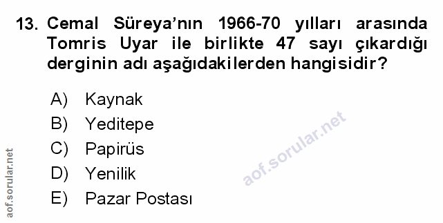 Soru 13
