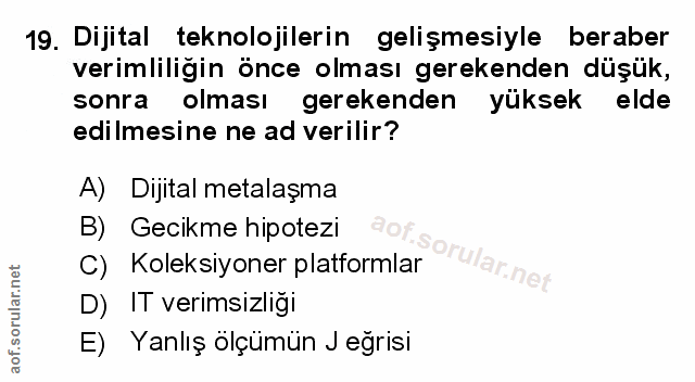 Soru 19