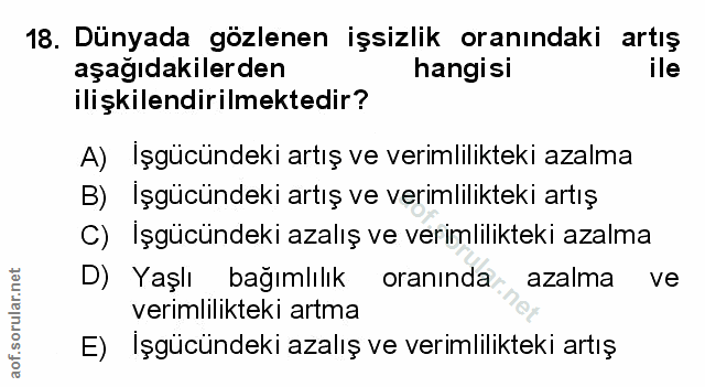 Soru 18