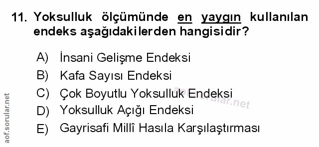 Soru 11