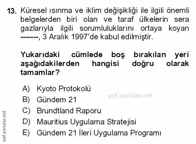 Soru 13
