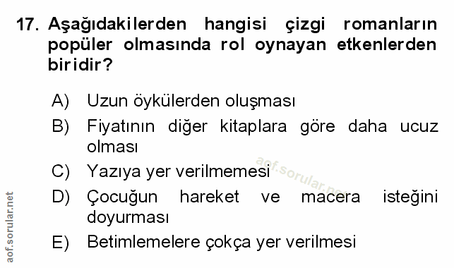 Soru 17