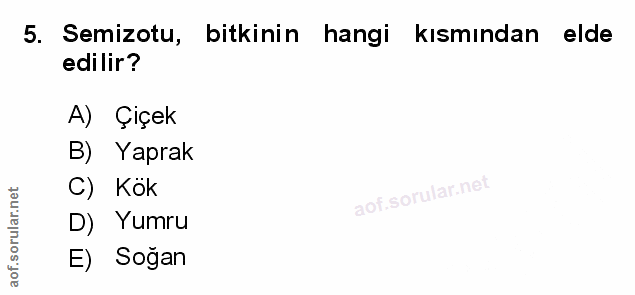 Soru 5