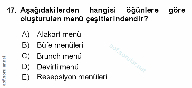 Soru 17