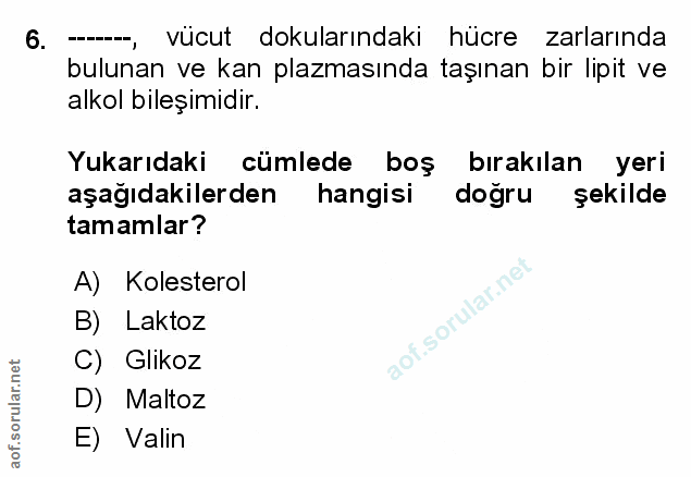 Soru 6