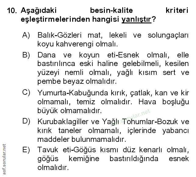 Soru 10