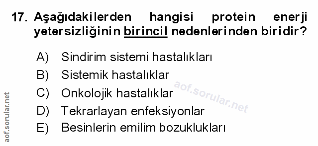 Soru 17