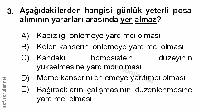 Soru 3
