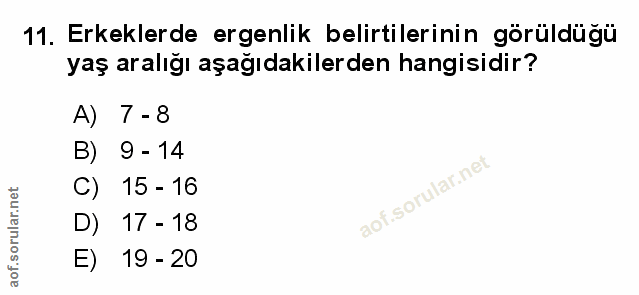 Soru 11