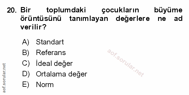 Soru 20