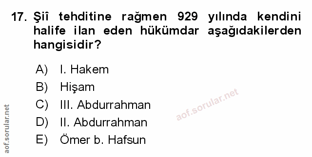 Soru 17
