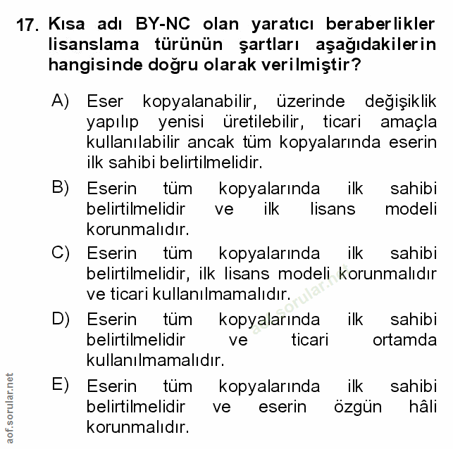 Soru 17