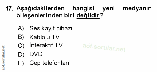Soru 17