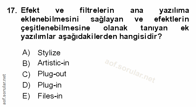 Soru 17