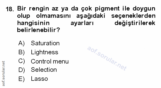 Soru 18