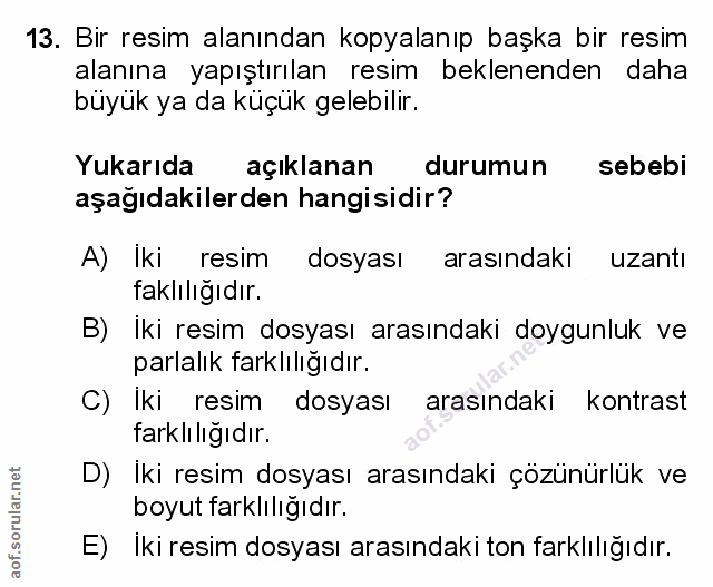 Soru 13