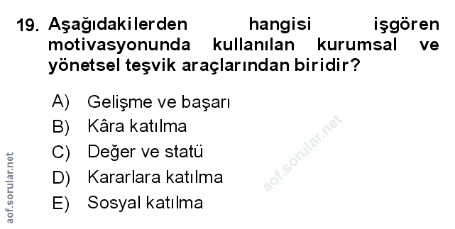Soru 19