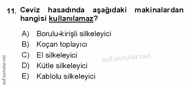Soru 11