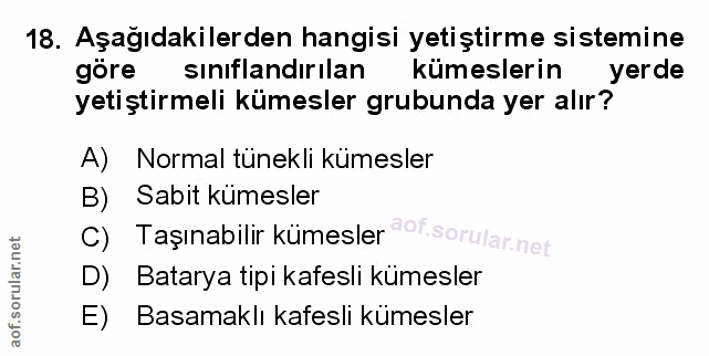 Soru 18