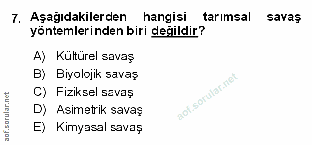 Soru 7