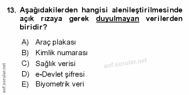 Soru 13