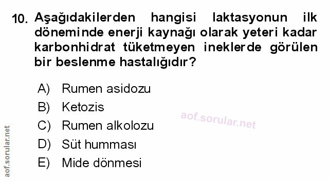Soru 10