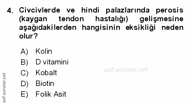 Soru 4