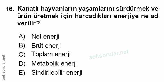 Soru 16