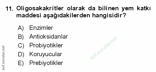 Soru 11