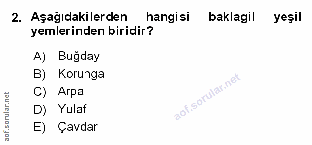 Soru 2