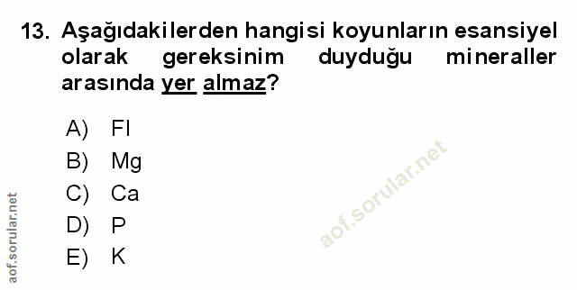 Soru 13