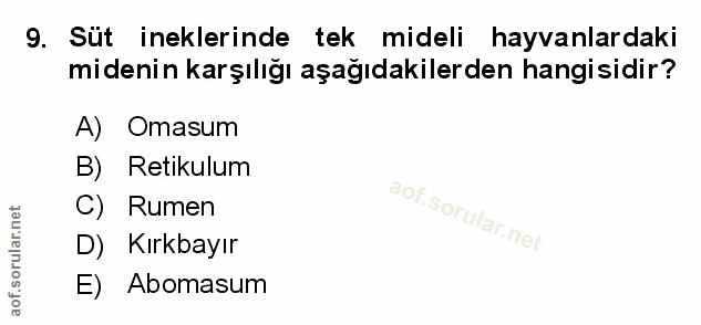 Soru 9