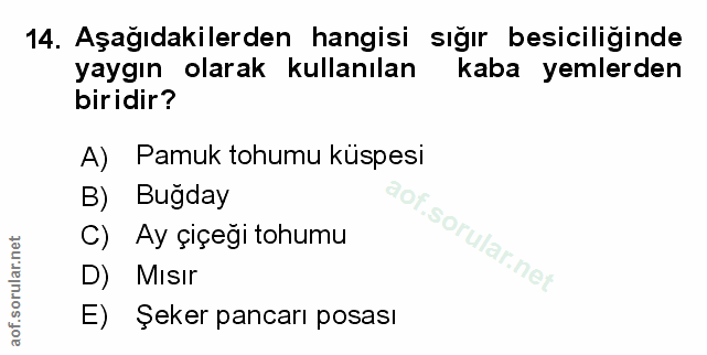 Soru 14