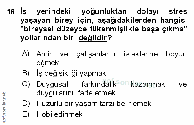Soru 16