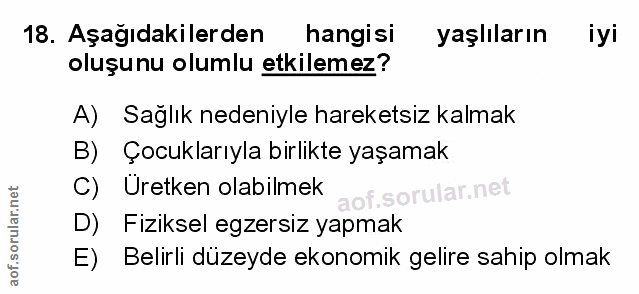 Soru 18
