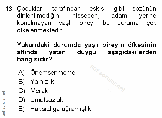 Soru 13