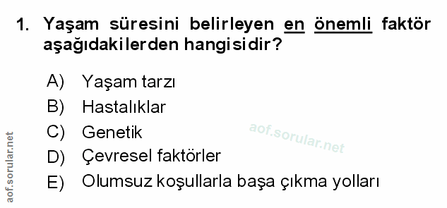 Soru 1