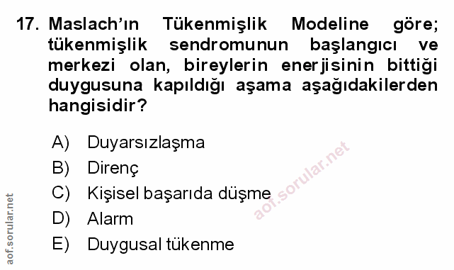 Soru 17