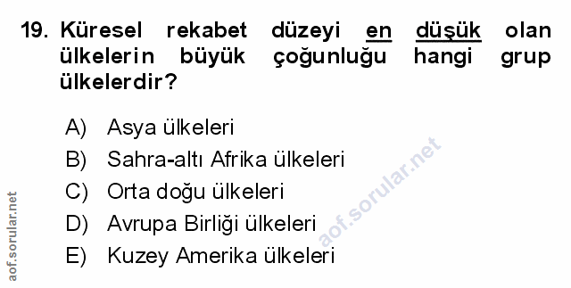 Soru 19